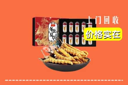 大兴安岭新林回收冬虫夏草